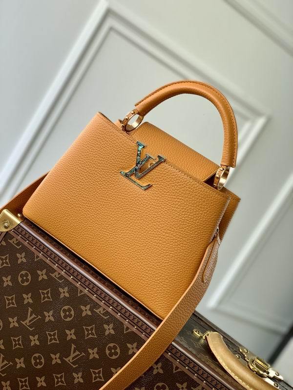 LV Handbags 112